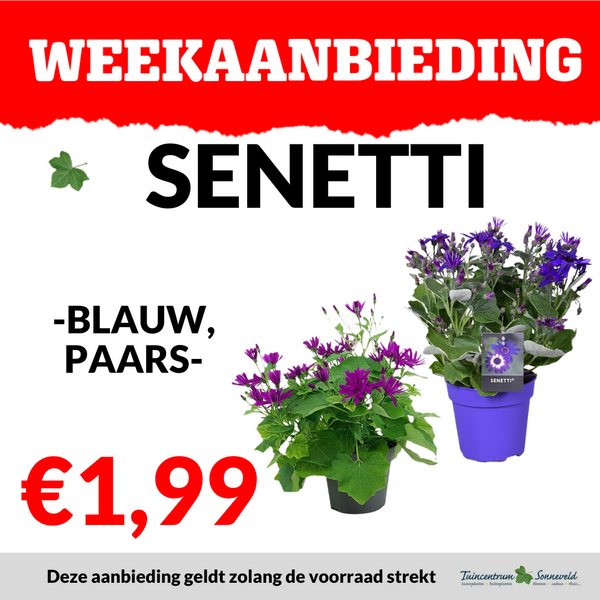 SENETTI €1,99