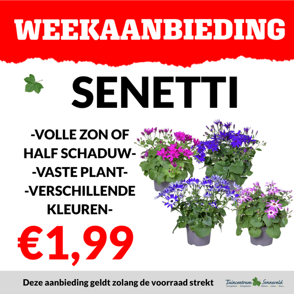 SENETTI €1,99