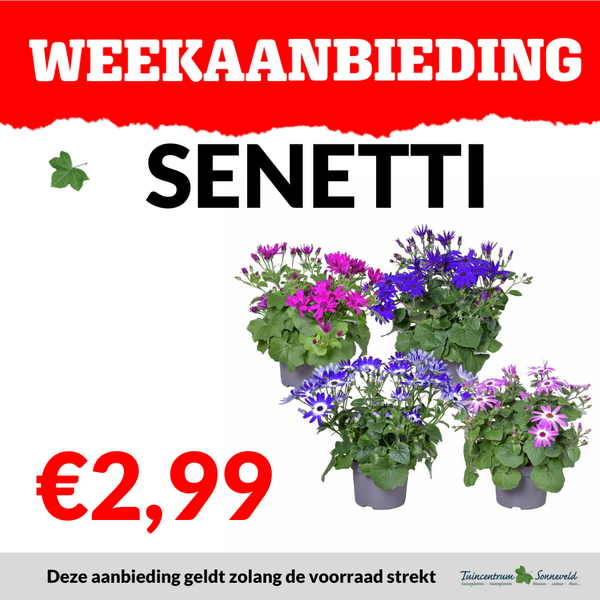 SENETTI €2,99