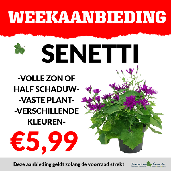 SENETTI €5,99