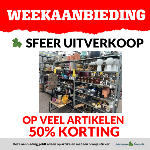 SFEERARTIKELEN 50% KORTING