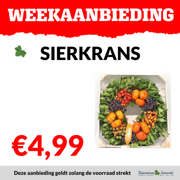 SIERFRUIT KRANS €4,99