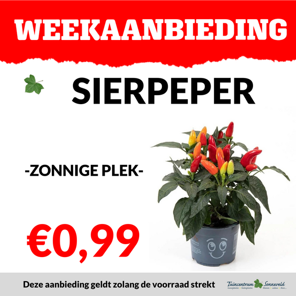 SIERPEPER €0,99