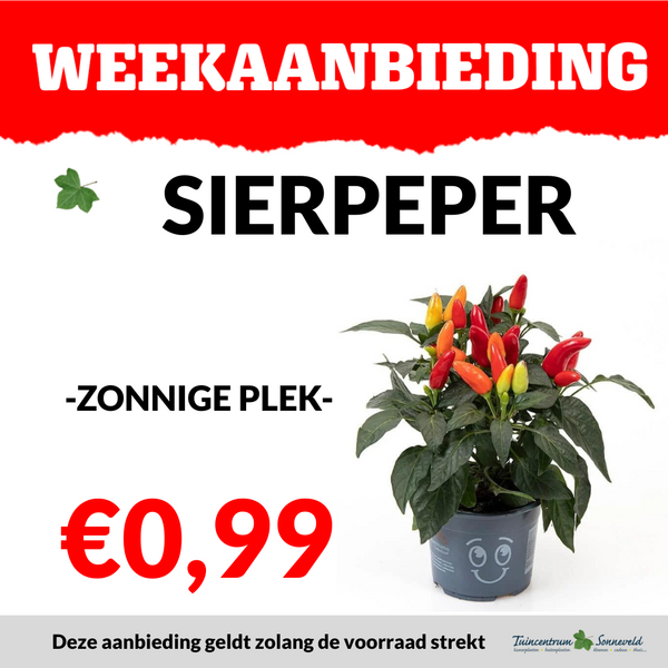 SIERPEPER €0,99