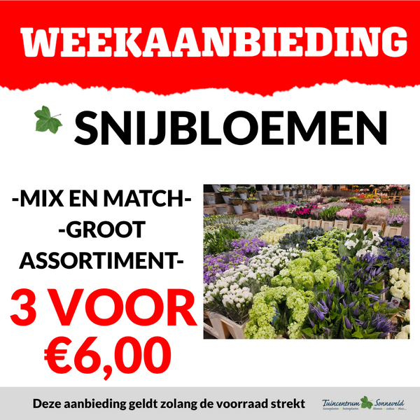SNIJBLOEMEN 3 VOOR €6,00