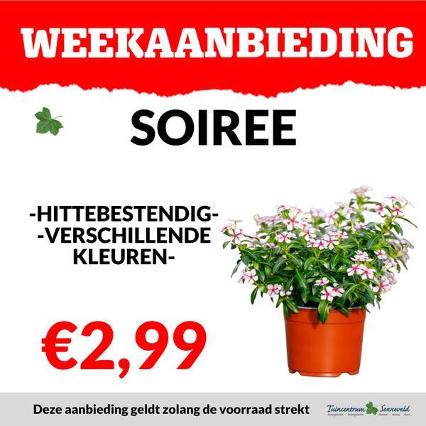 SOIREE €2,99