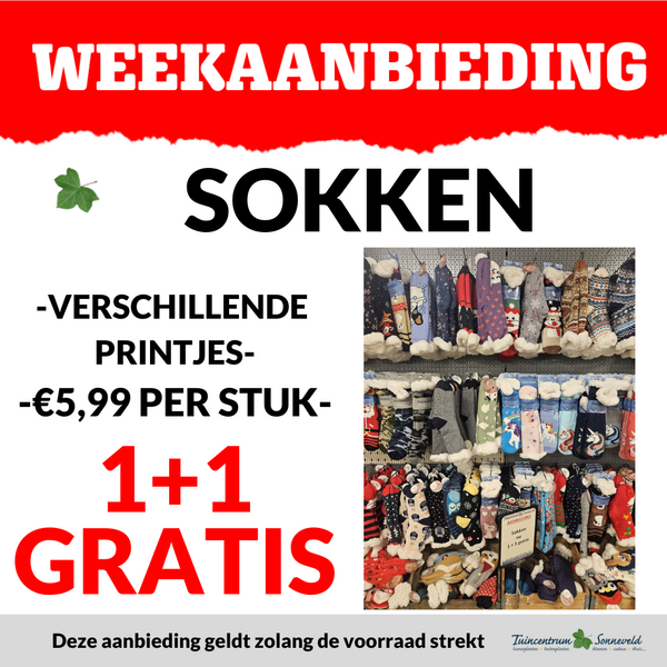SOKKEN 1+1 GRATIS
