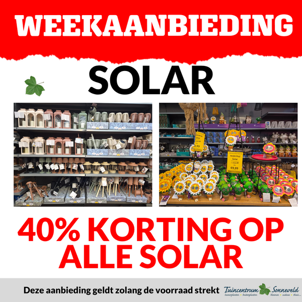 SOLAR 40% KORTING