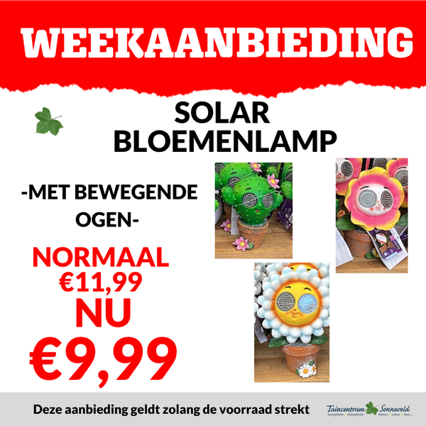 SOLAR BLOEMENLAMP €9,99