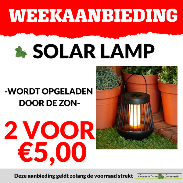 SOLAR LAMP 2 VOOR €5,00
