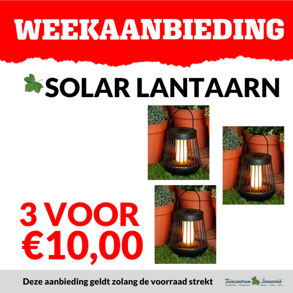 SOLAR LANTAARN 3 VOOR €10,00