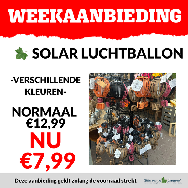 SOLAR LUCHTBALLON €7,99