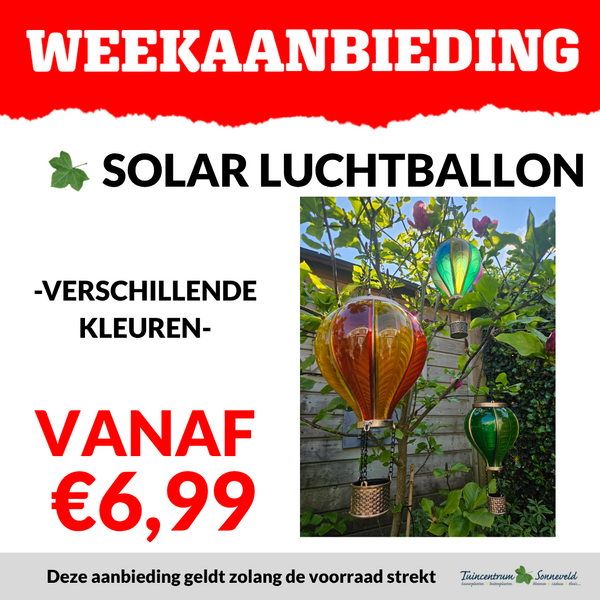 SOLAR LUCHTBALLON VANAF €6,99