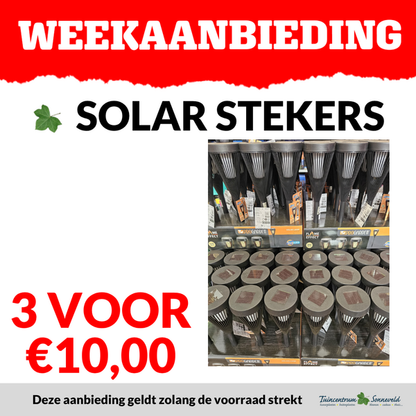 SOLAR STEKERS 3 VOOR €10,00