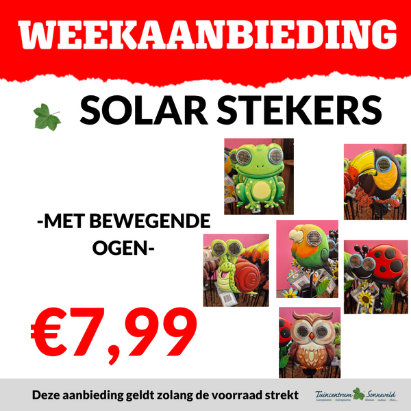 SOLAR STEKERS €7,99
