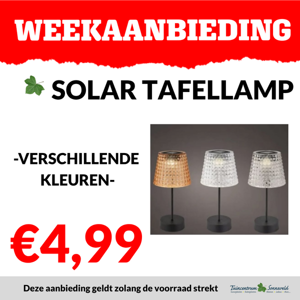 SOLAR TAFELLAMP €4,99