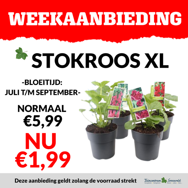 STOKROOS XL €1,99