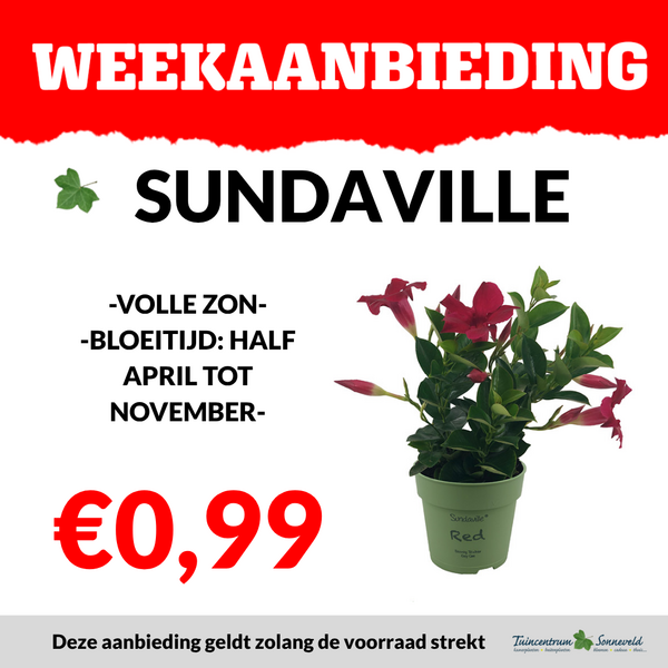 SUNDAVILLE €0,99