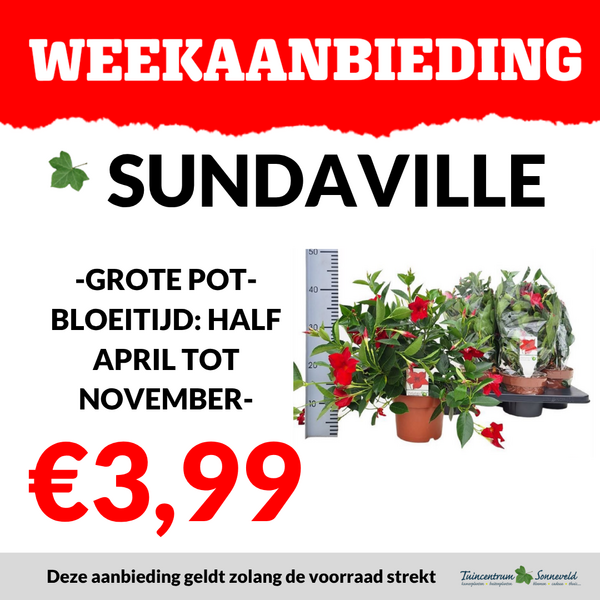 SUNDAVILLE €3,99