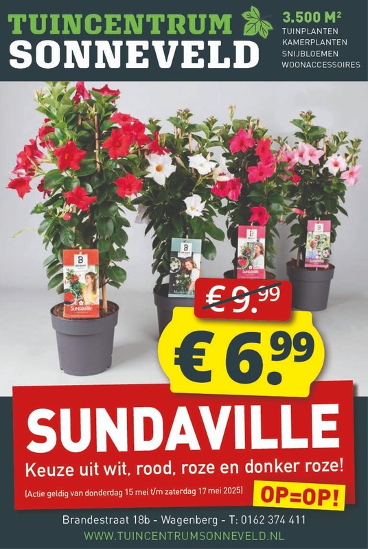 SUNDAVILLE €6,99