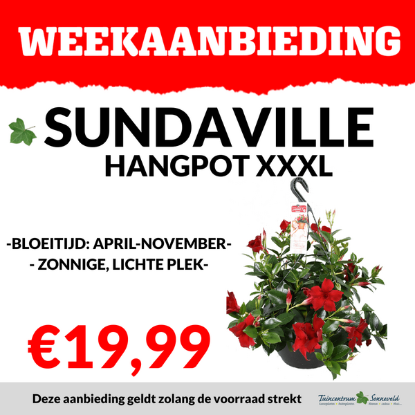 SUNDAVILLE HANGPOT XXXL €19,99