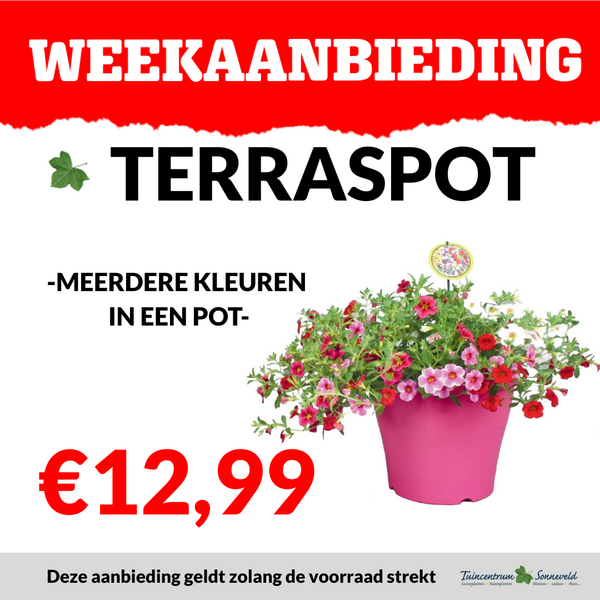 TERRASPOT €12,99