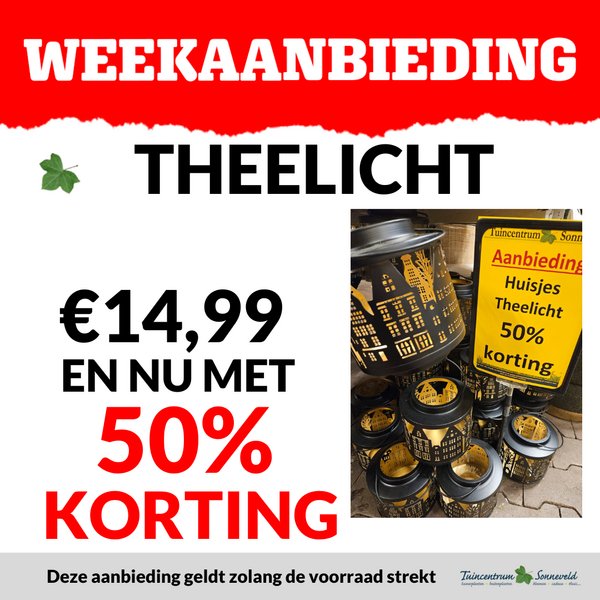 THEELICHT HUISJES 50% KORTING