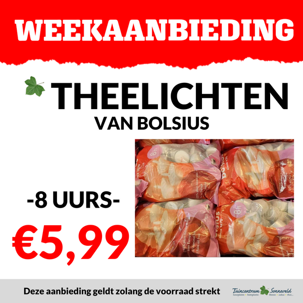 THEELICHTEN €5,99