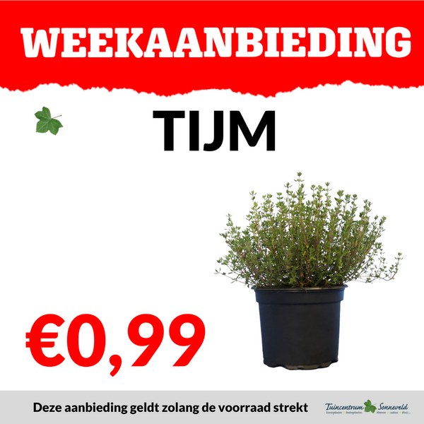 TIJM €0,99