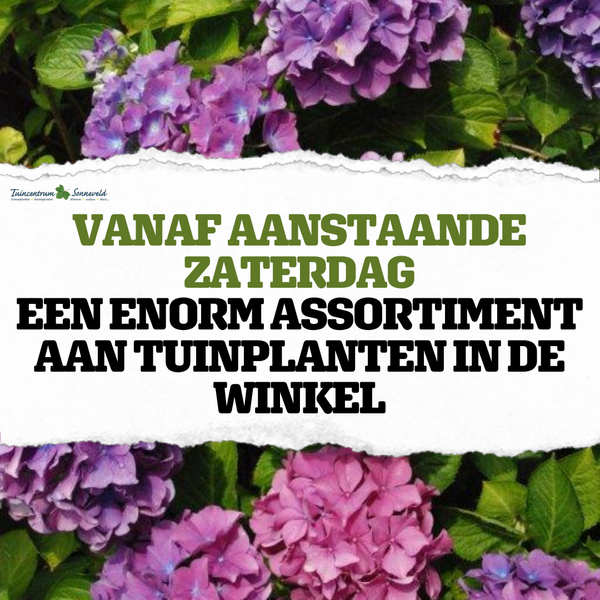 TUINPLANTEN MEGA ASSORTIMENT