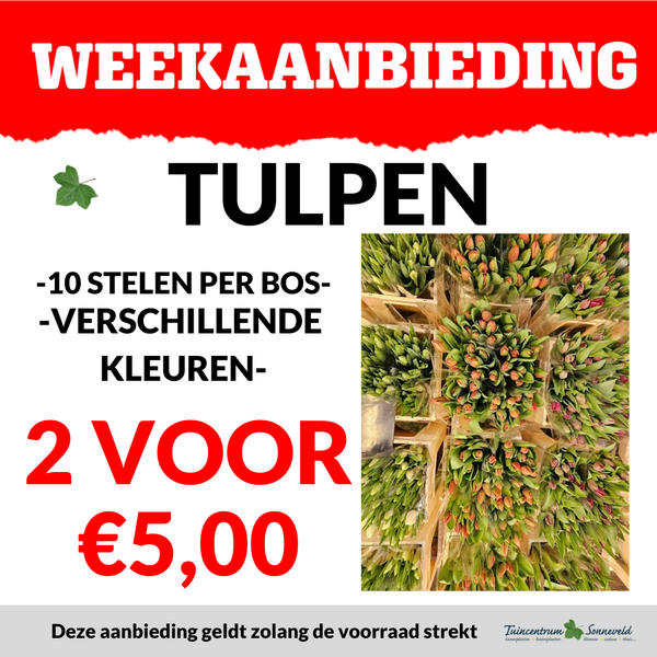 TULPEN 2 VOOR €5,00