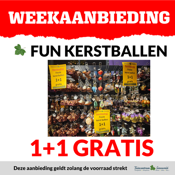 UNIEKE KERSTBALLEN 1+1 GRATIS