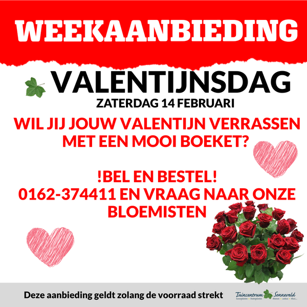 VALENTIJNSBOEKET