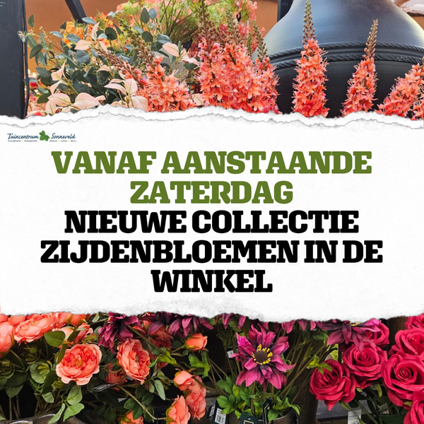 VANAF ZATERDAG NIEUWE COLLECTIE ZIJDENBLOEMEN IN DE WINKEL