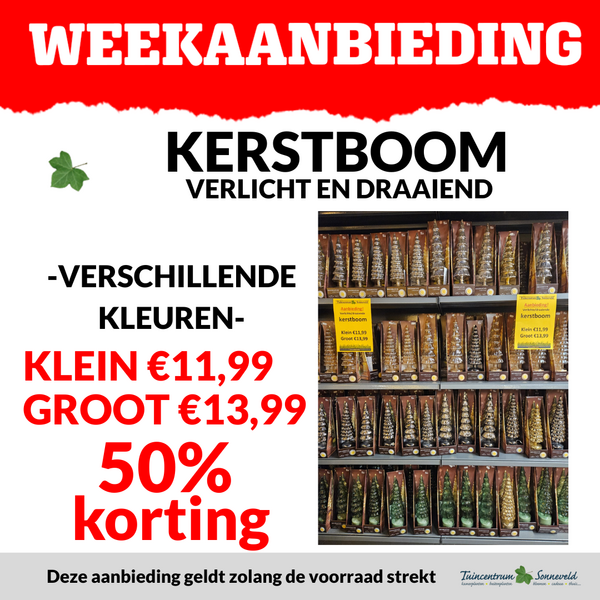VERLICHTE BOOMPJE 50% KORTING