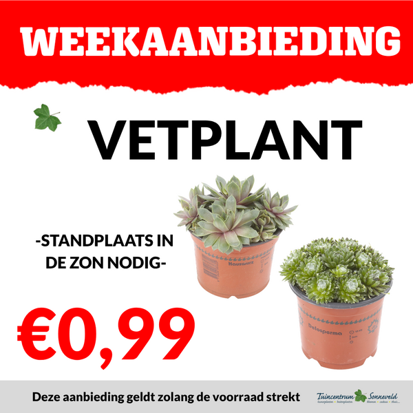 vetplant €0,99