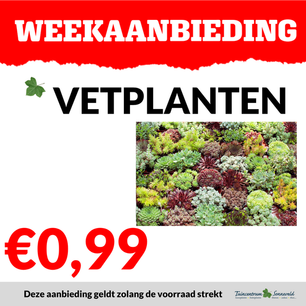 VETPLANTEN €0,99