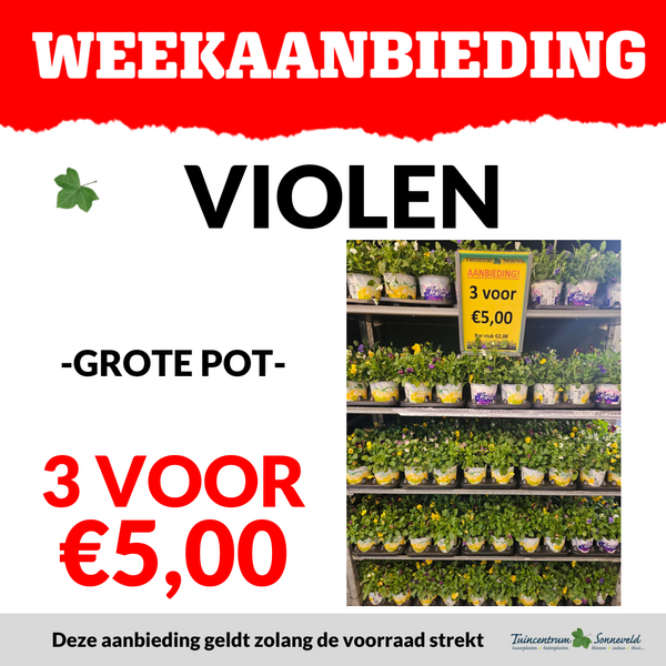 VIOLEN 3 VOOR €5,00