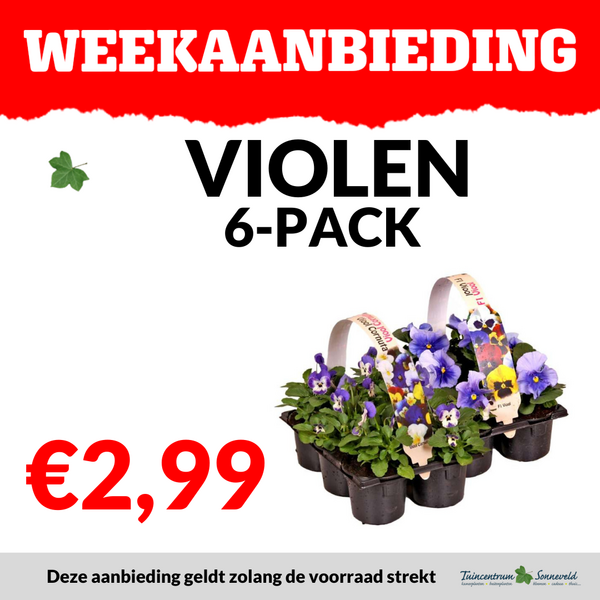 VIOLEN 6-PACK €2,99