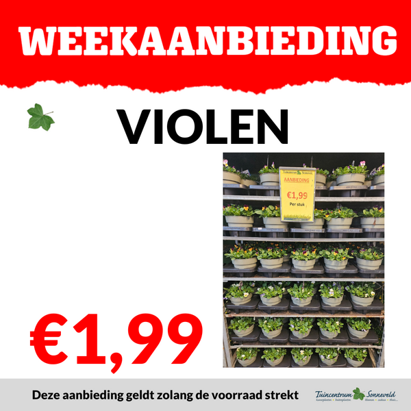 VIOLEN €1,99