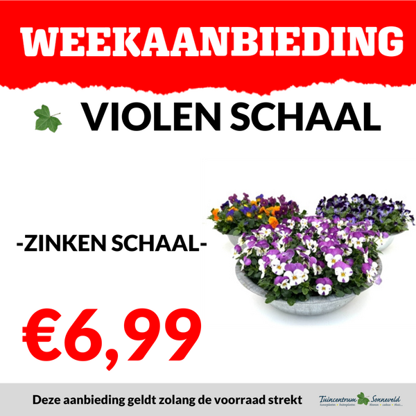 VIOLEN €6,99
