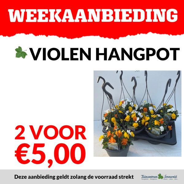 VIOLEN HANGPOT 2 VOOR €5,00