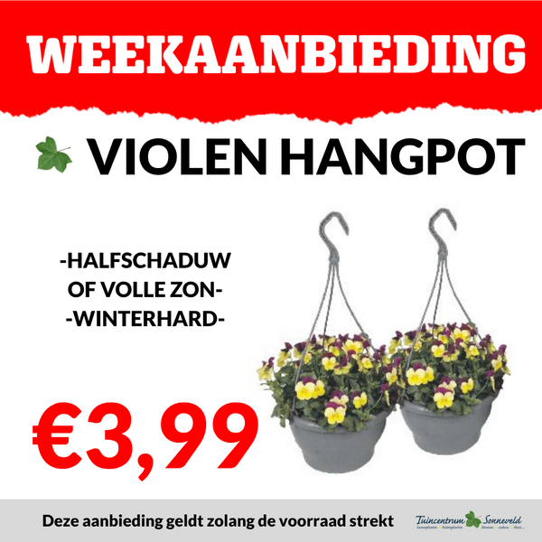 VIOLEN HANGPOT €3,99