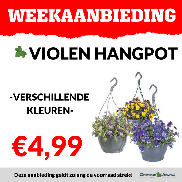 VIOLEN HANGPOT €4,99