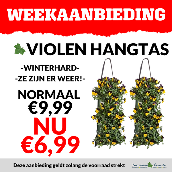 VIOLEN HANGTAS €6,99