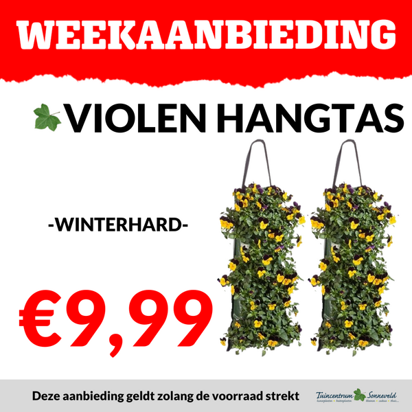 VIOLEN HANGTAS €9,99