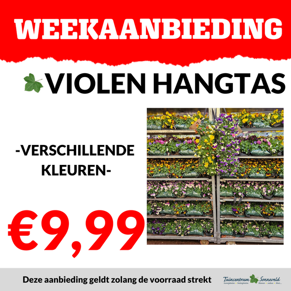 VIOLEN HANGTAS €9,99