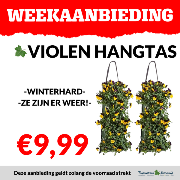 VIOLEN HANGTAS €9,99