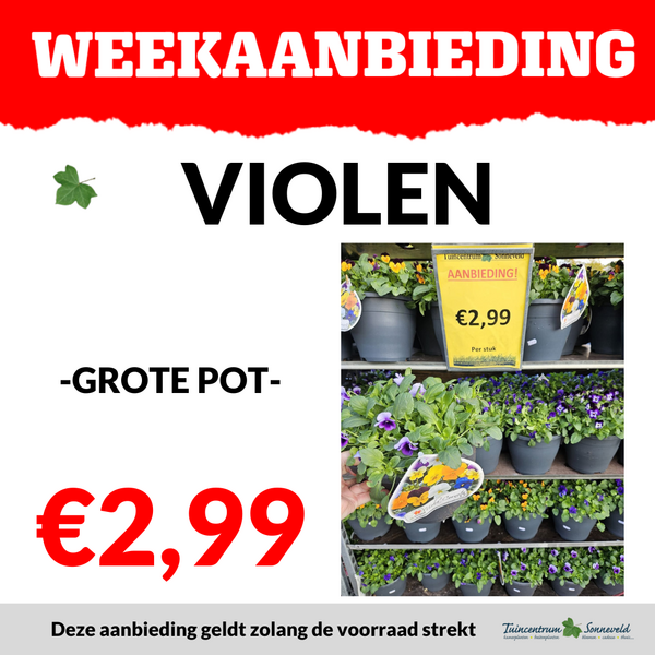 VIOLEN POT €2,99