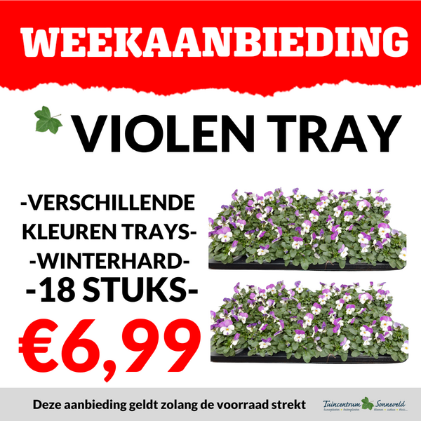VIOLEN TRAY €6,99